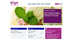 Desktop Screenshot of brightsearch.nl