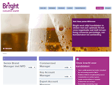 Tablet Screenshot of brightsearch.nl